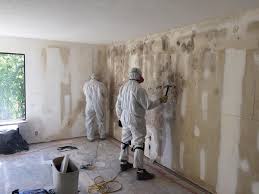 Forensic Mold Investigation in Catlin, IL